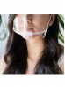 Transparent Protective Mask (10 Pcs)